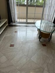 Symphony Heights (D21), Condominium #554506071